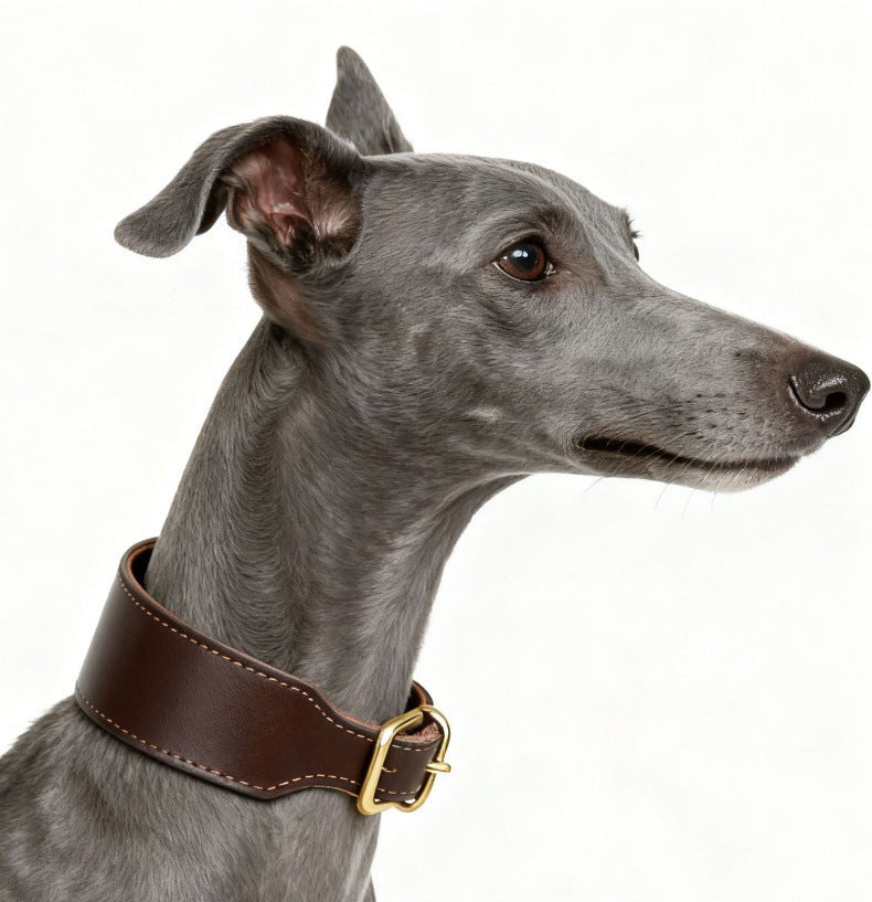 Collar de Galgo Ensanchado Pata-Pata - Capa Superior de Piel de Vaca Premium